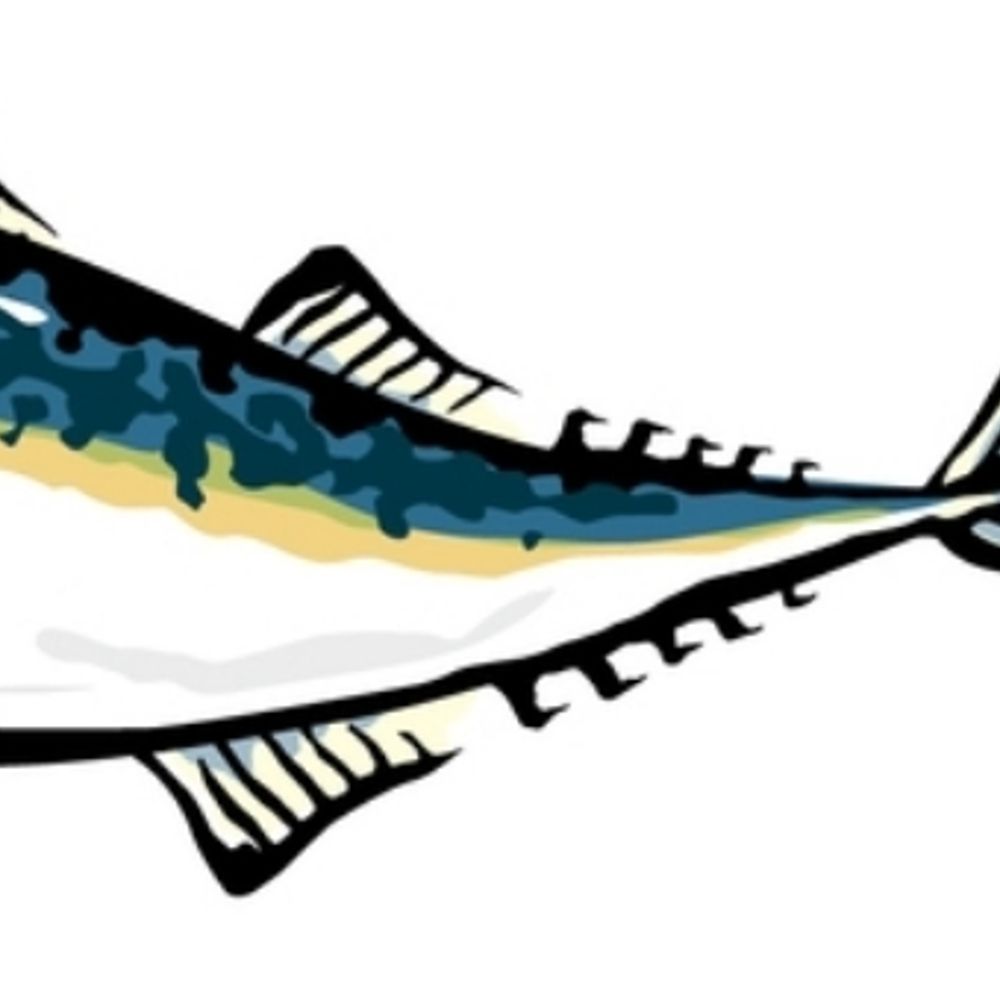 百鬼組fish