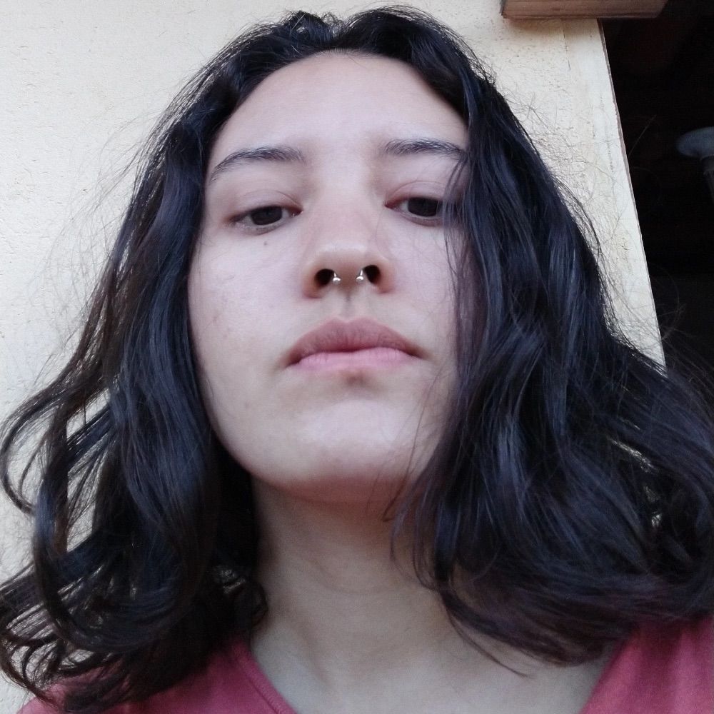 híbrida