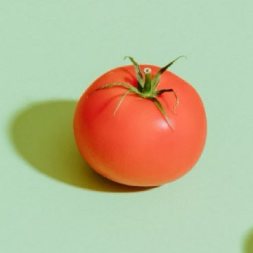 TOMATO🍅