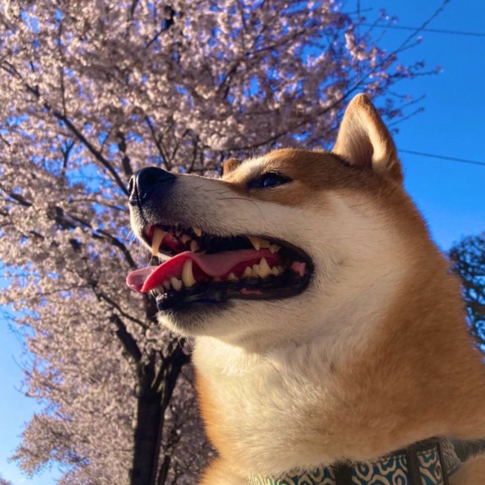 ポルテ