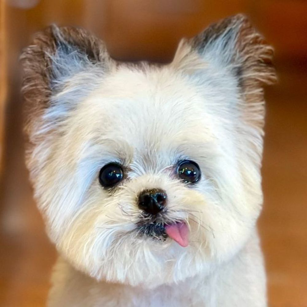 NORBERT