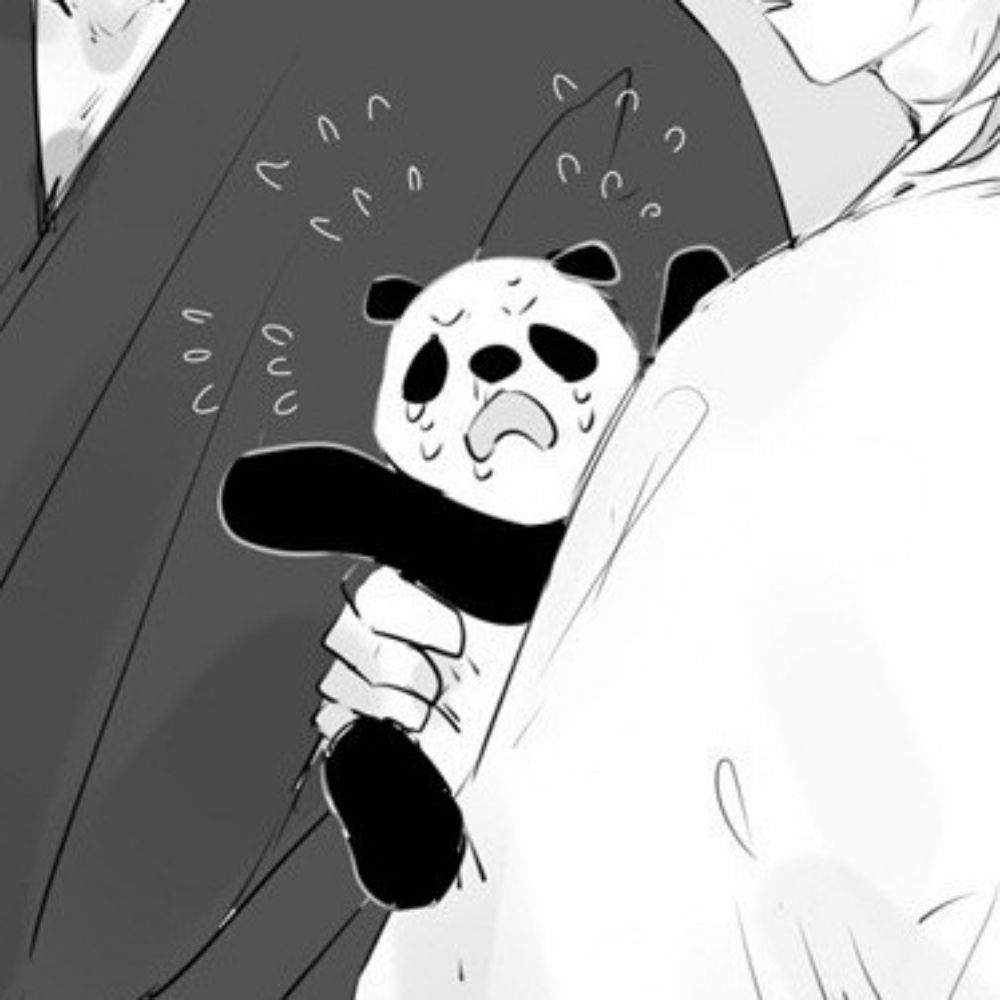 fernando🐼