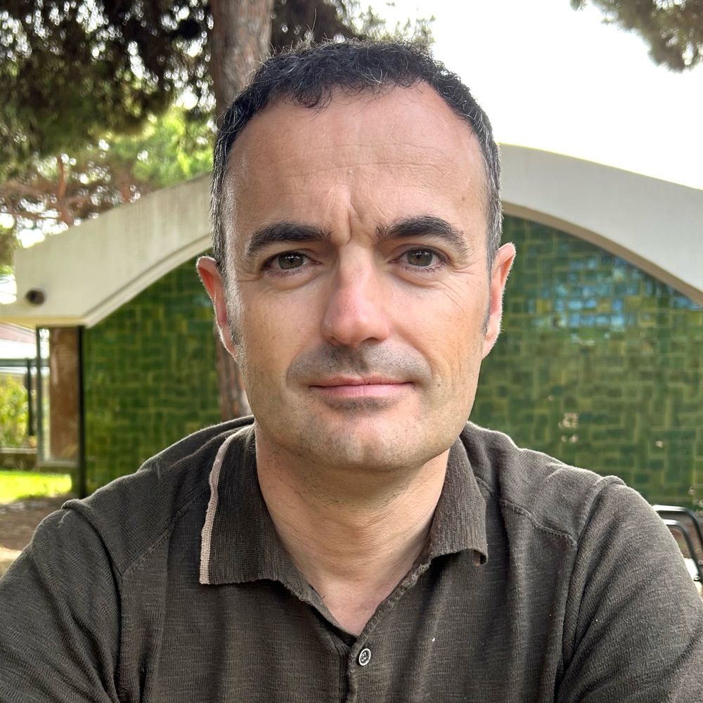 Alfons Aragoneses