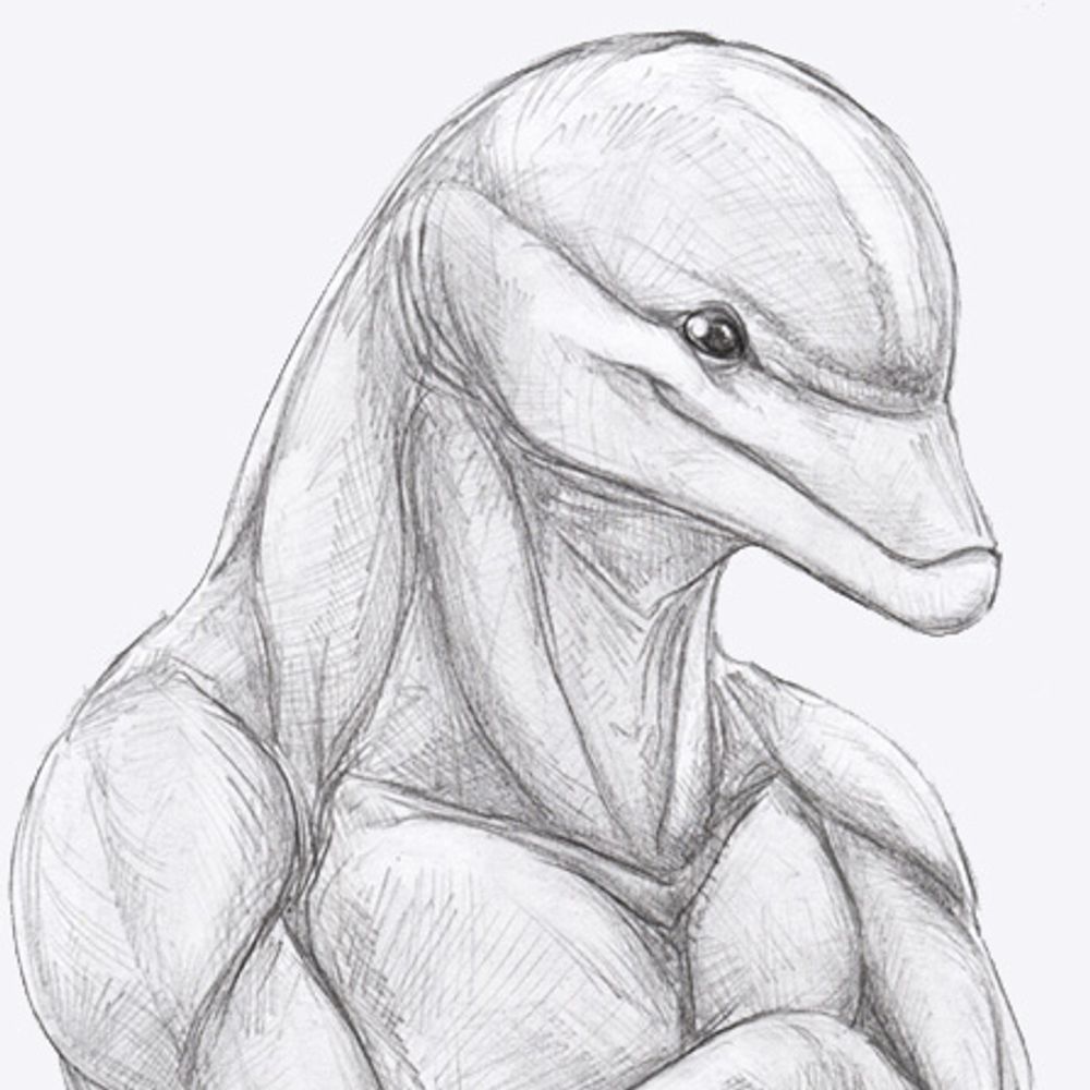 Phiner