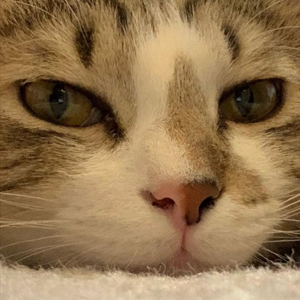 おおうち　もとひろ