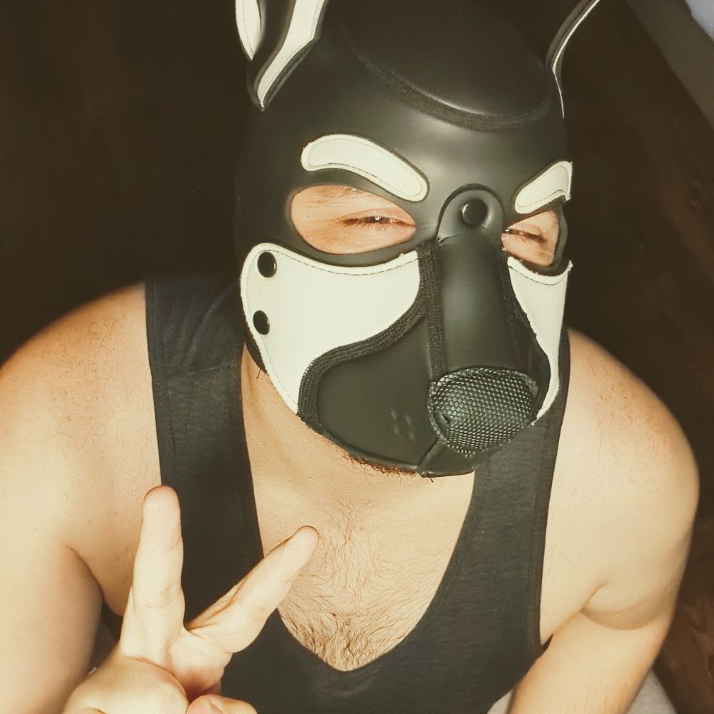 Pup Ingus