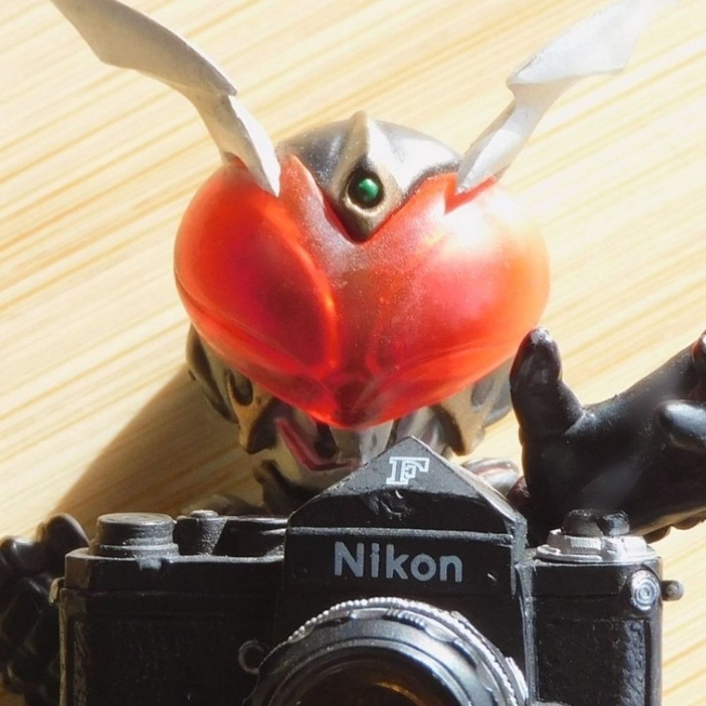 ヒトとして生きるカリス