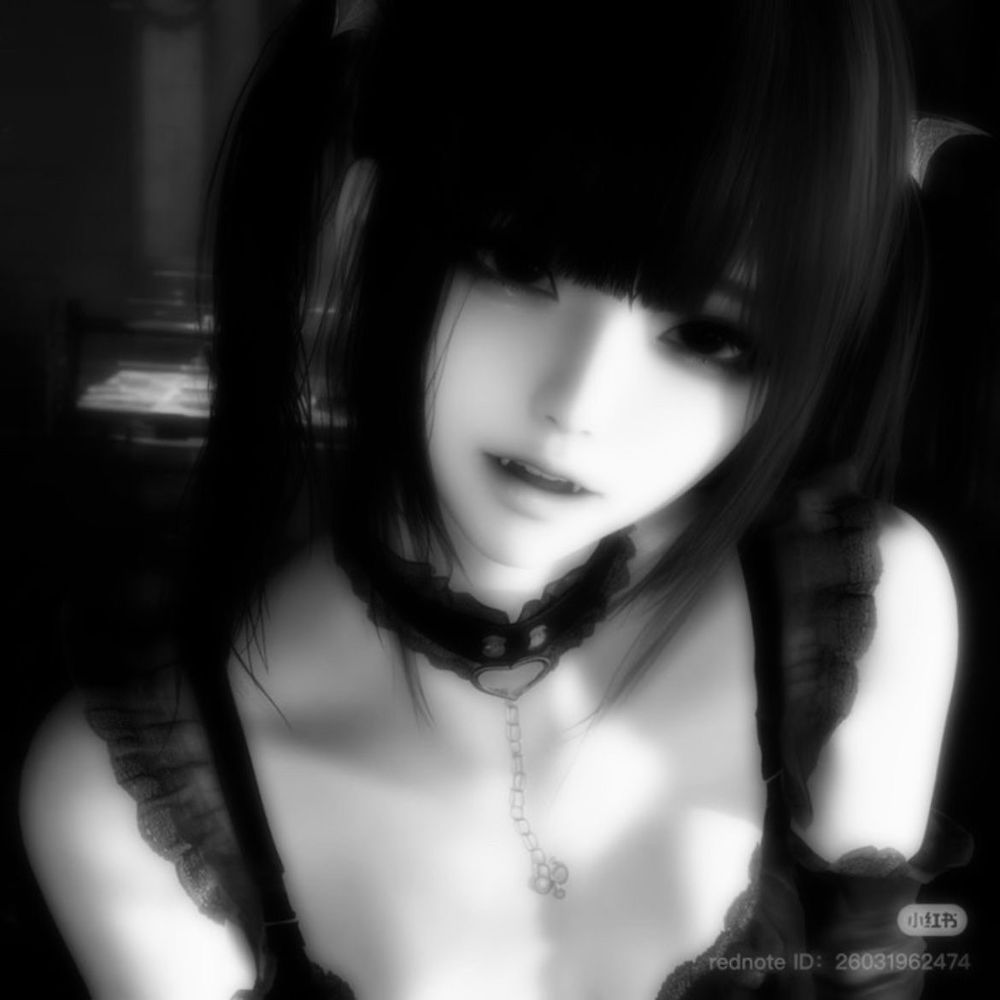 ₊ 𝘱𝘦𝘵𝘪𝘵 𝘧𝘰𝘶𝘳 ✩彡