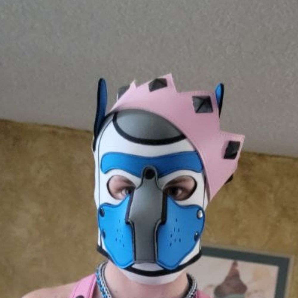 Pup Zero