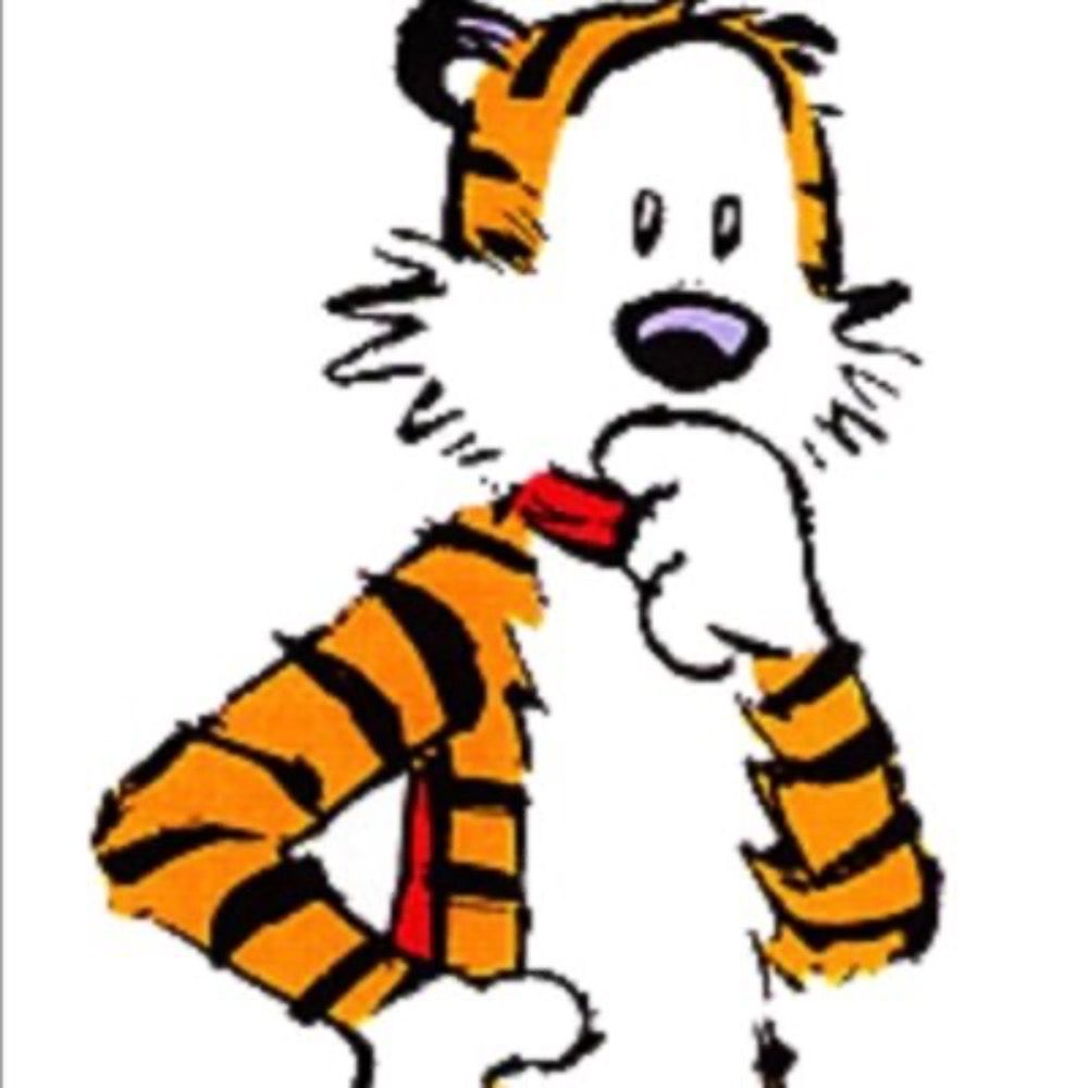 Mr Hobbes