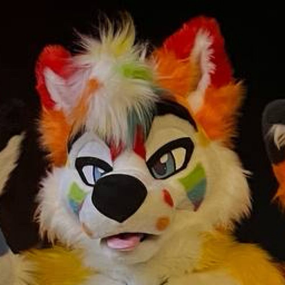 Rubix Husky