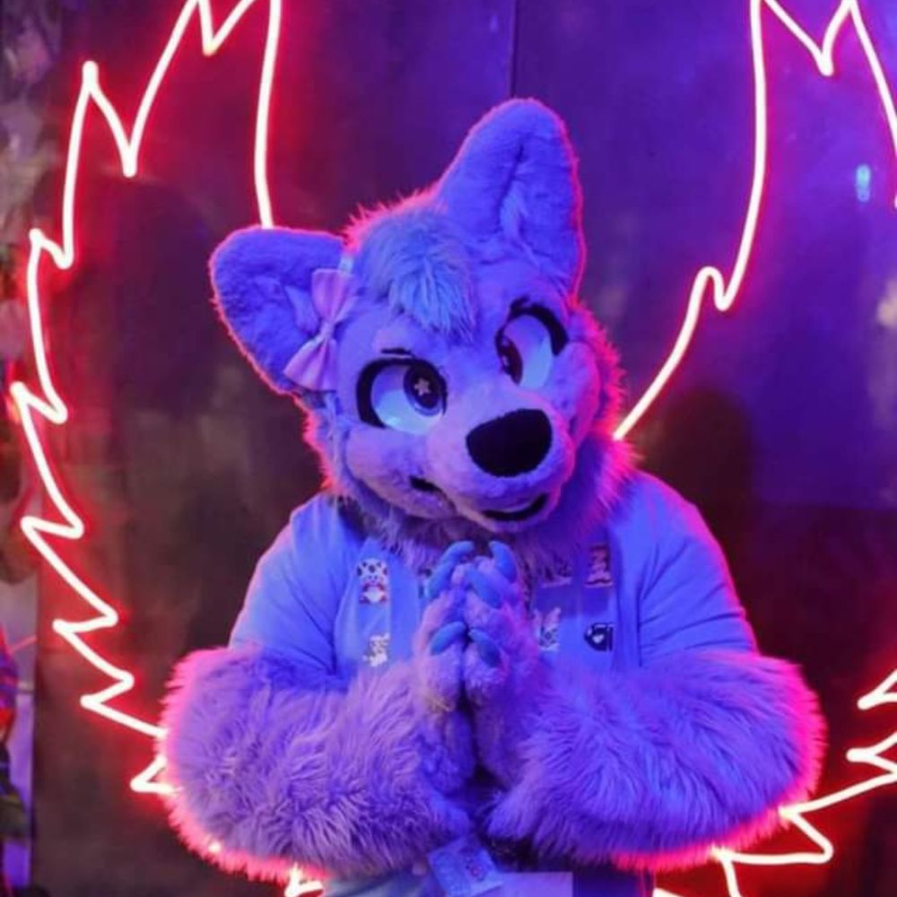 Purpy husky 