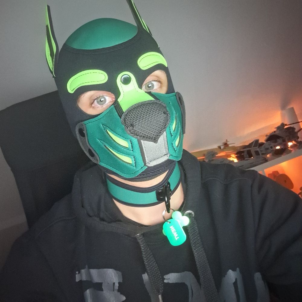 Pup_Newt