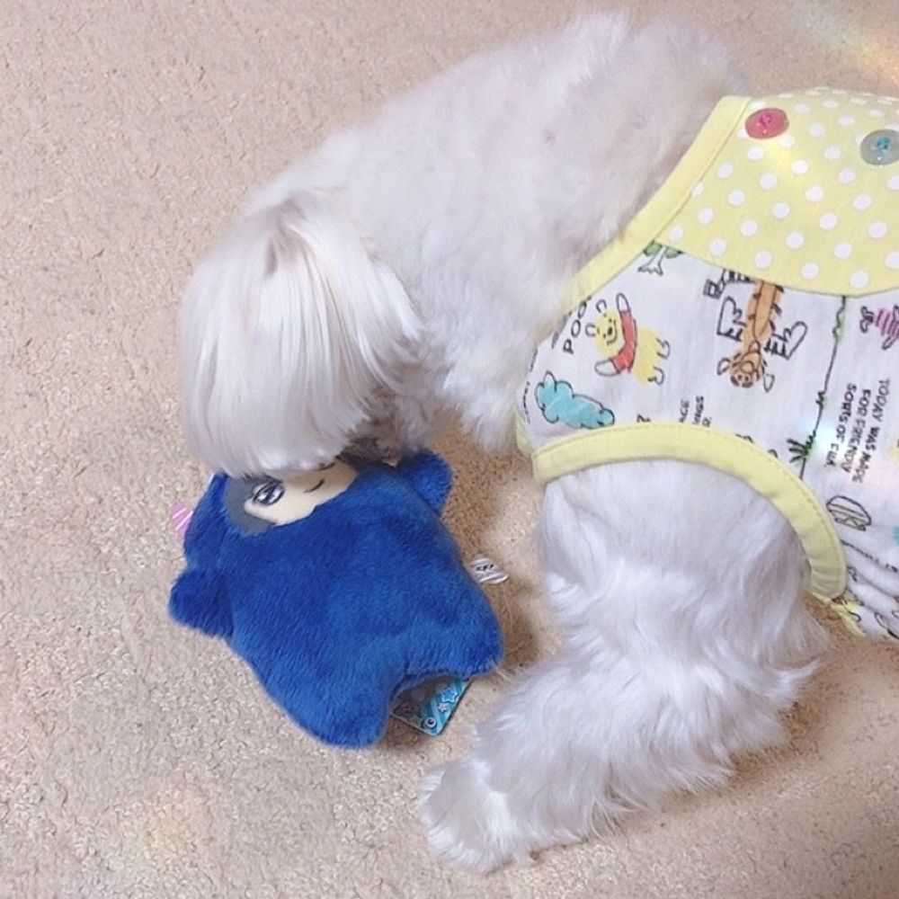 くるみん