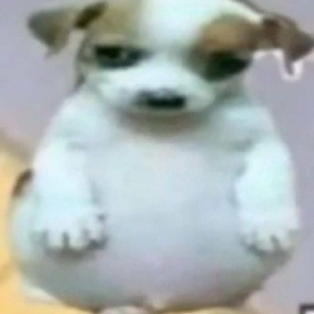 ni kk