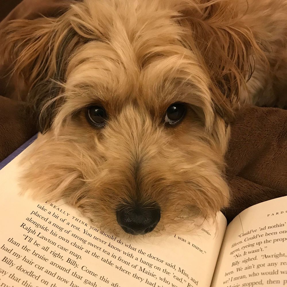 Java Librarian