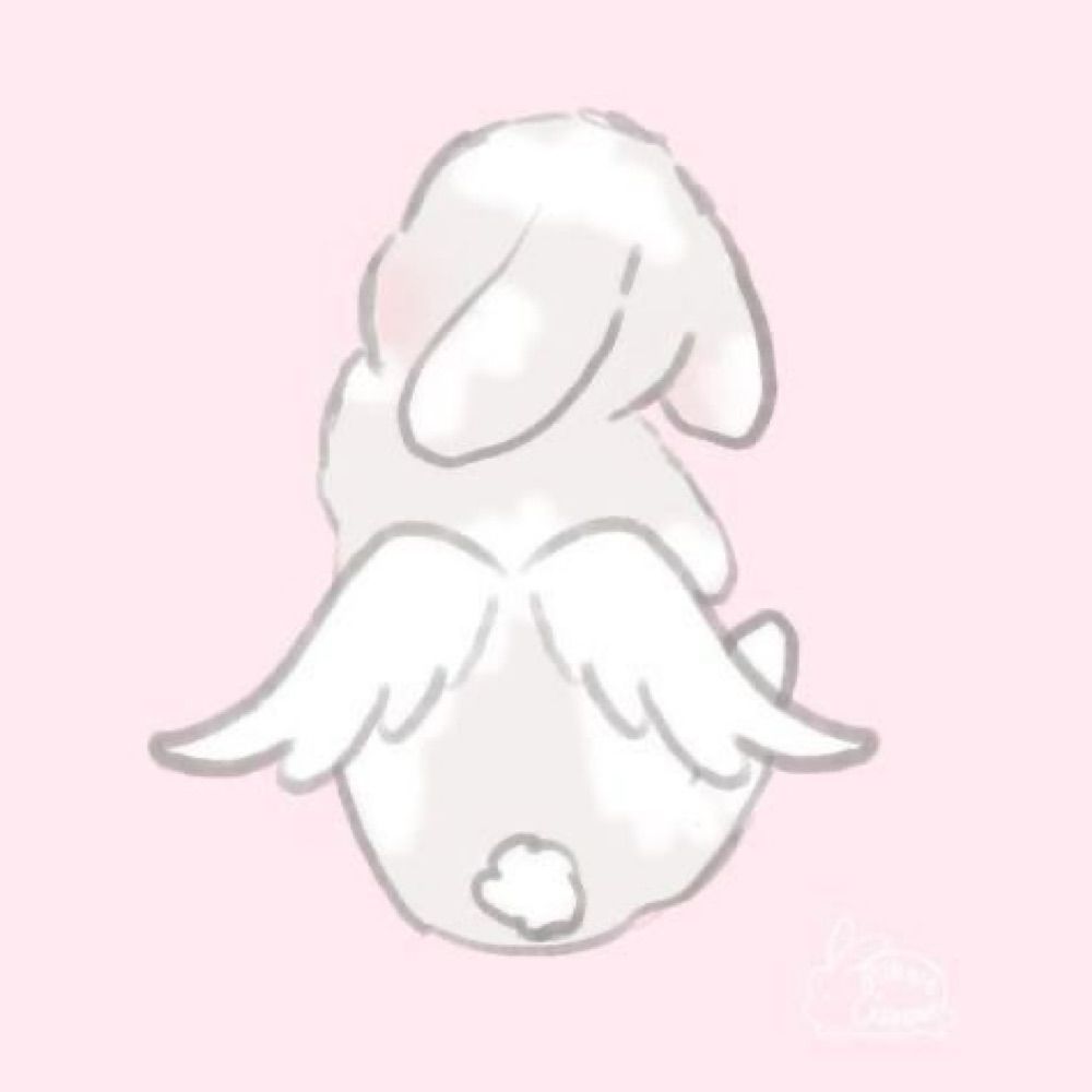ℬ𝓊𝓃𝒾 🎀