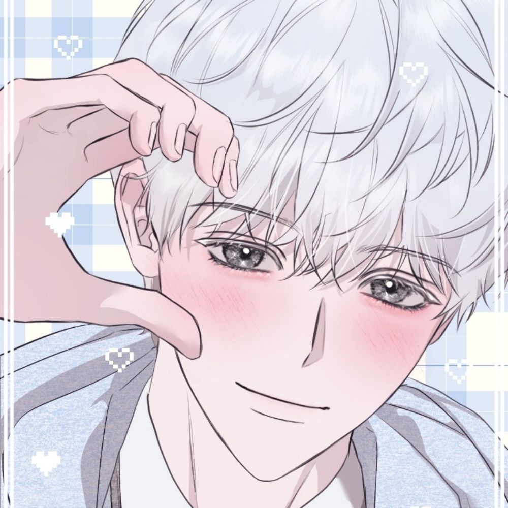 푸치