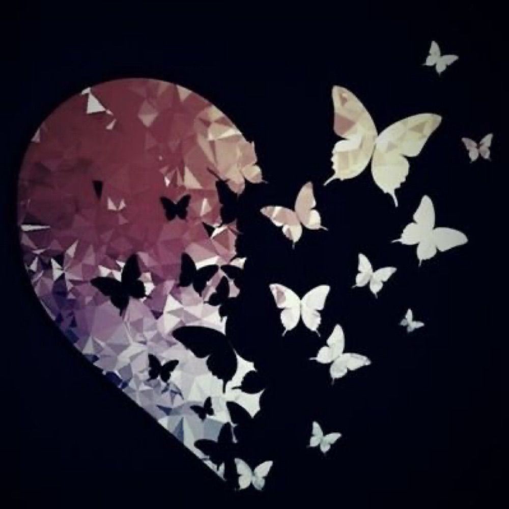 나비커플🦋