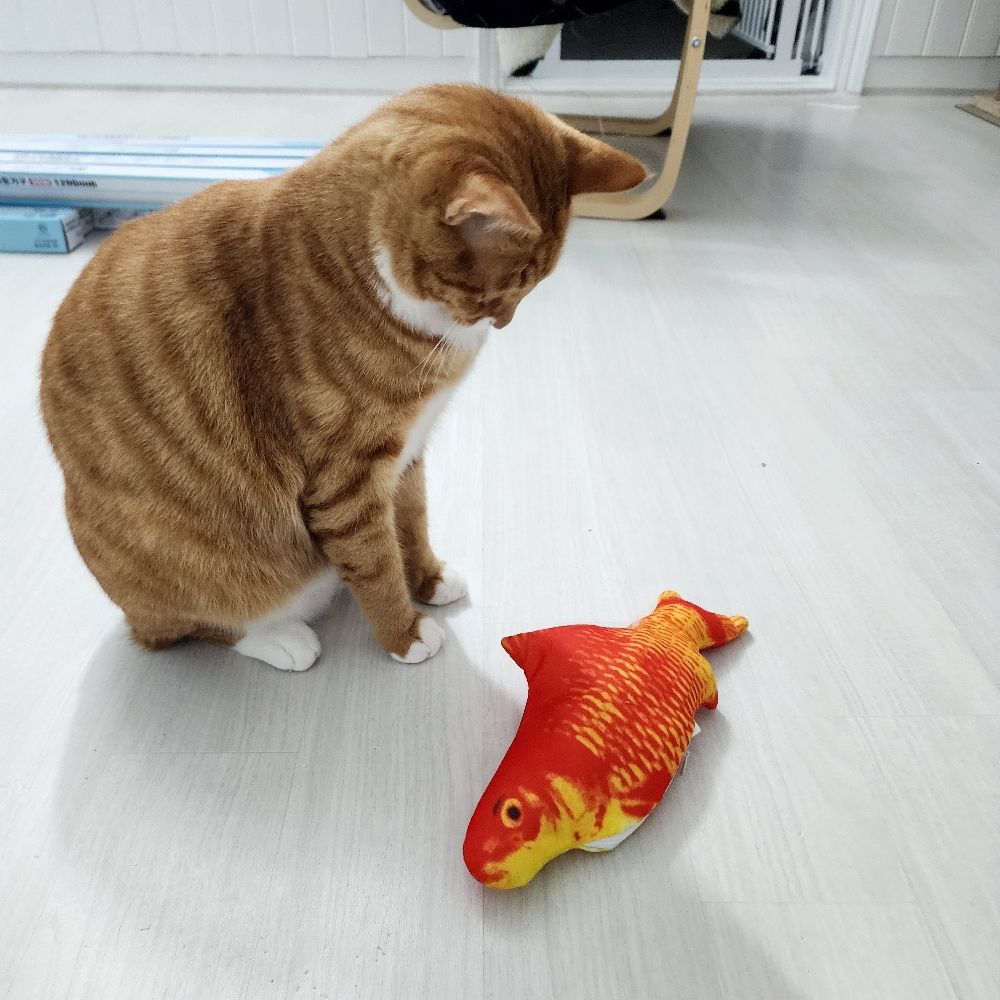을