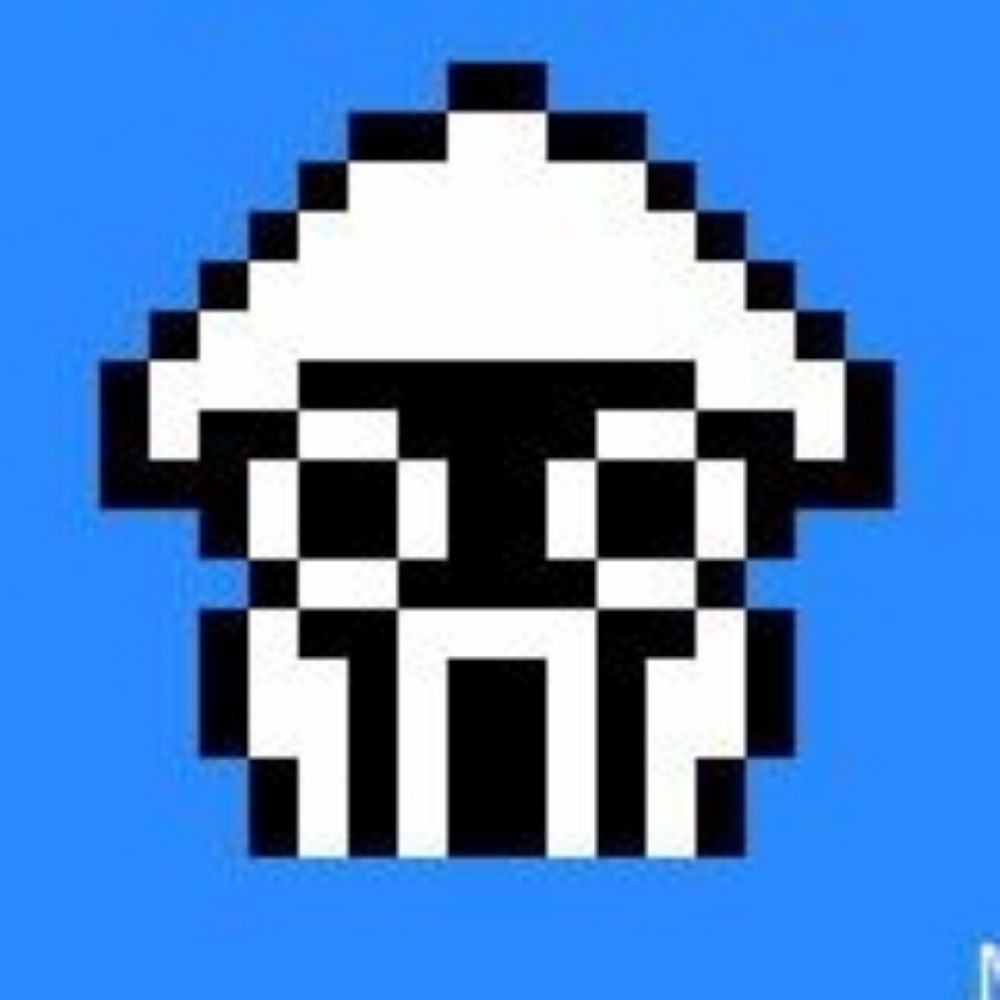 Squid