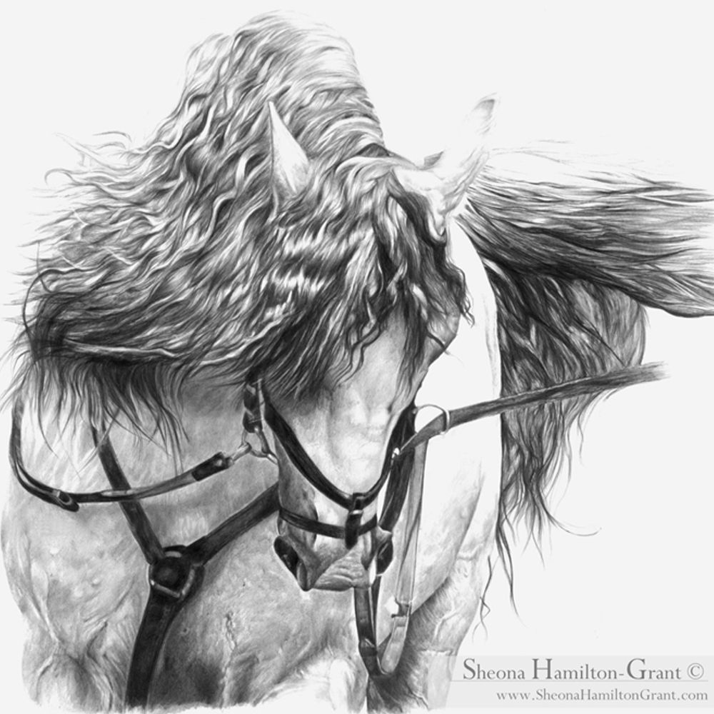 Sheona Hamilton-Grant