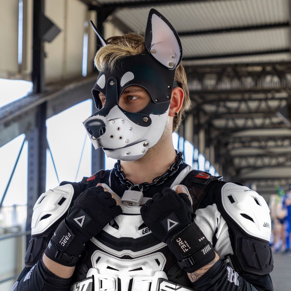 Pup_Staz