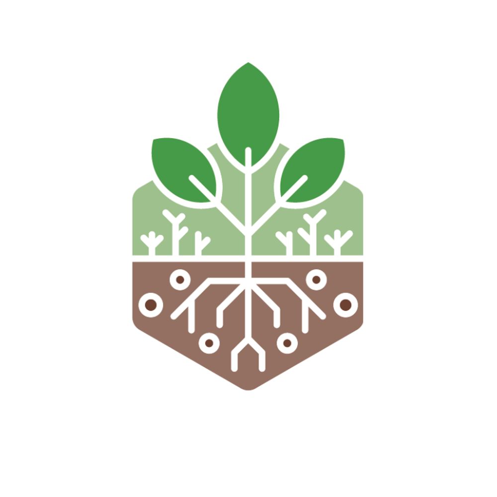 pHYBi Project