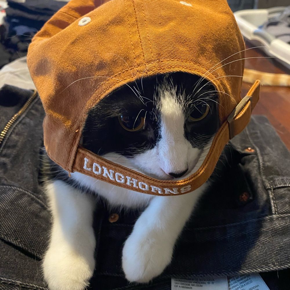 TriciaK 🤘🧡 Texas Fight