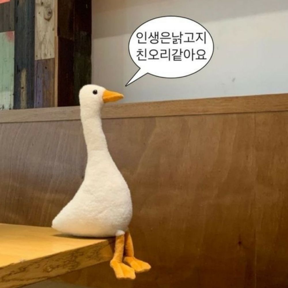 뇽k