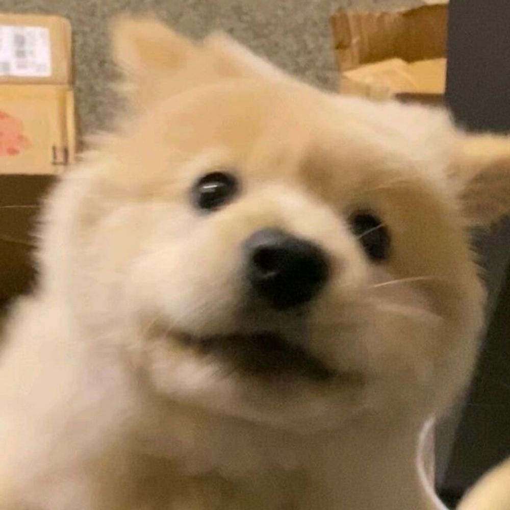 无敌最俊朗