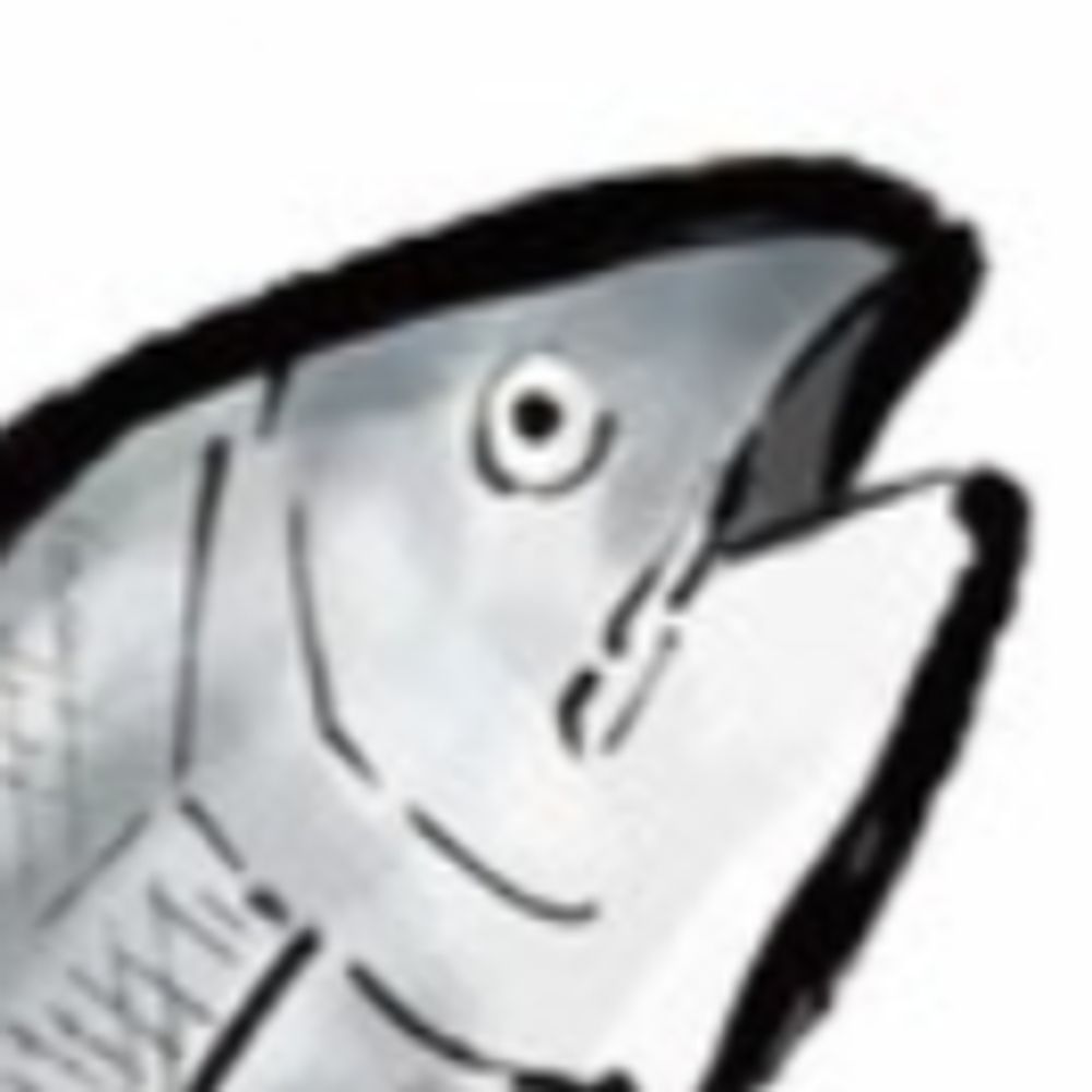 鮭