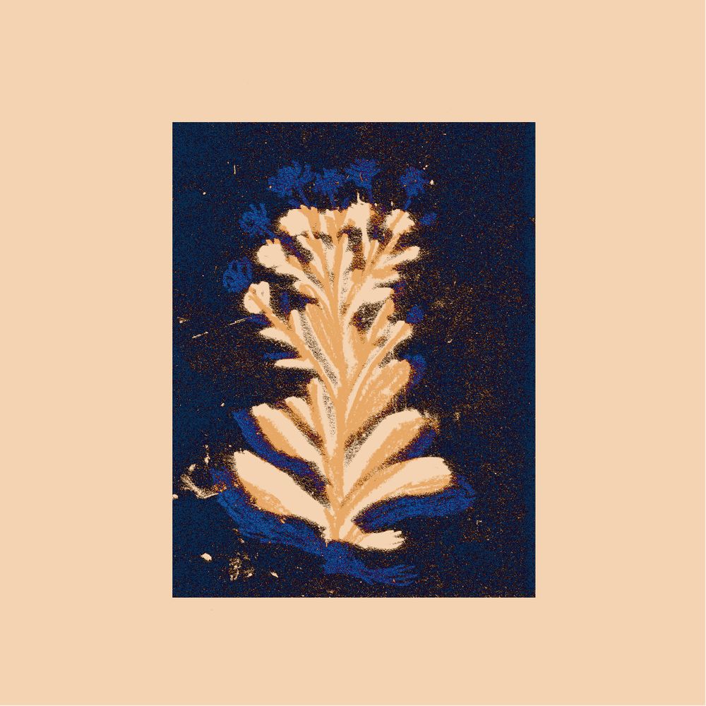 Oddkin Flower Farm & Studio • Margherita Ferrari