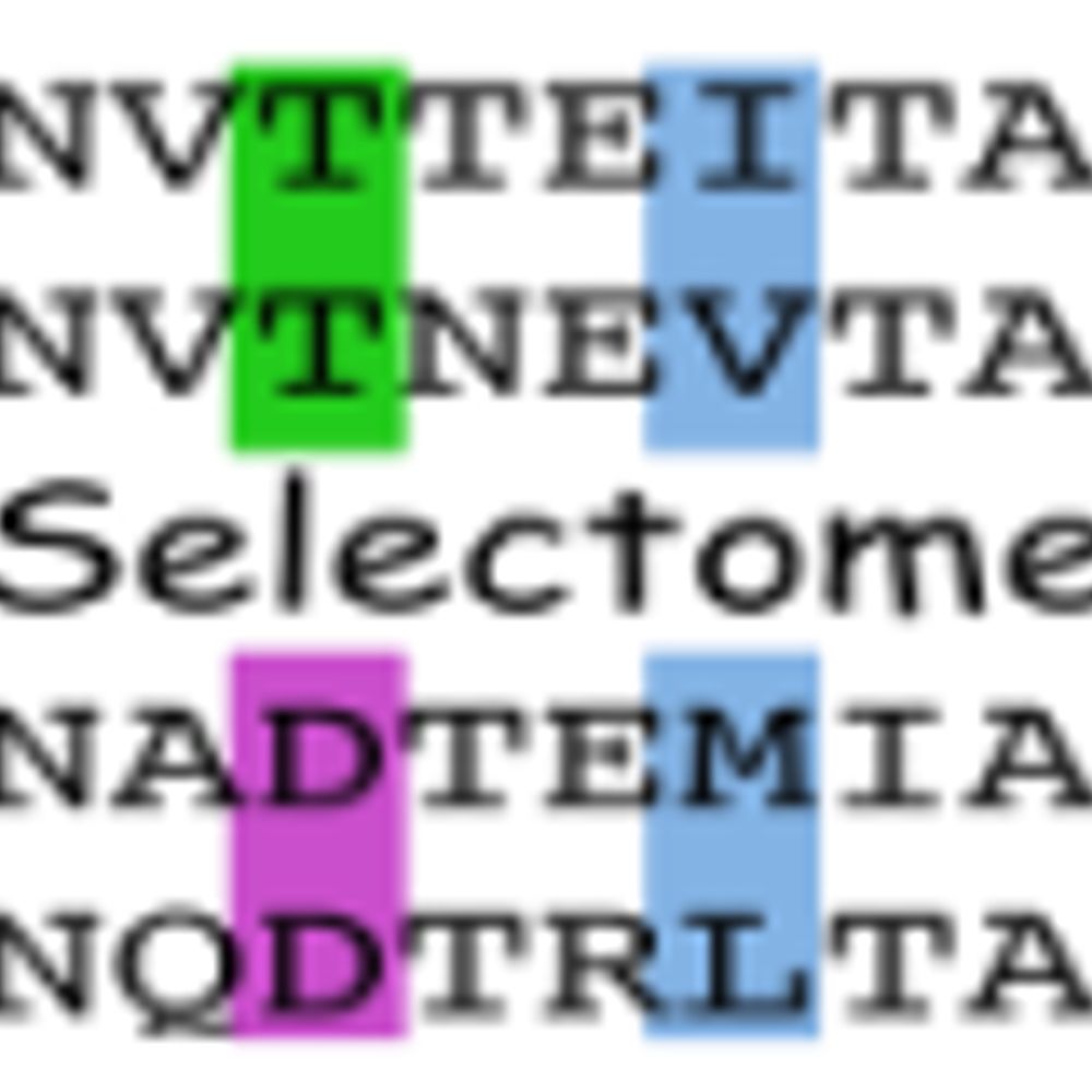 Selectome, a Database of Positive Selection