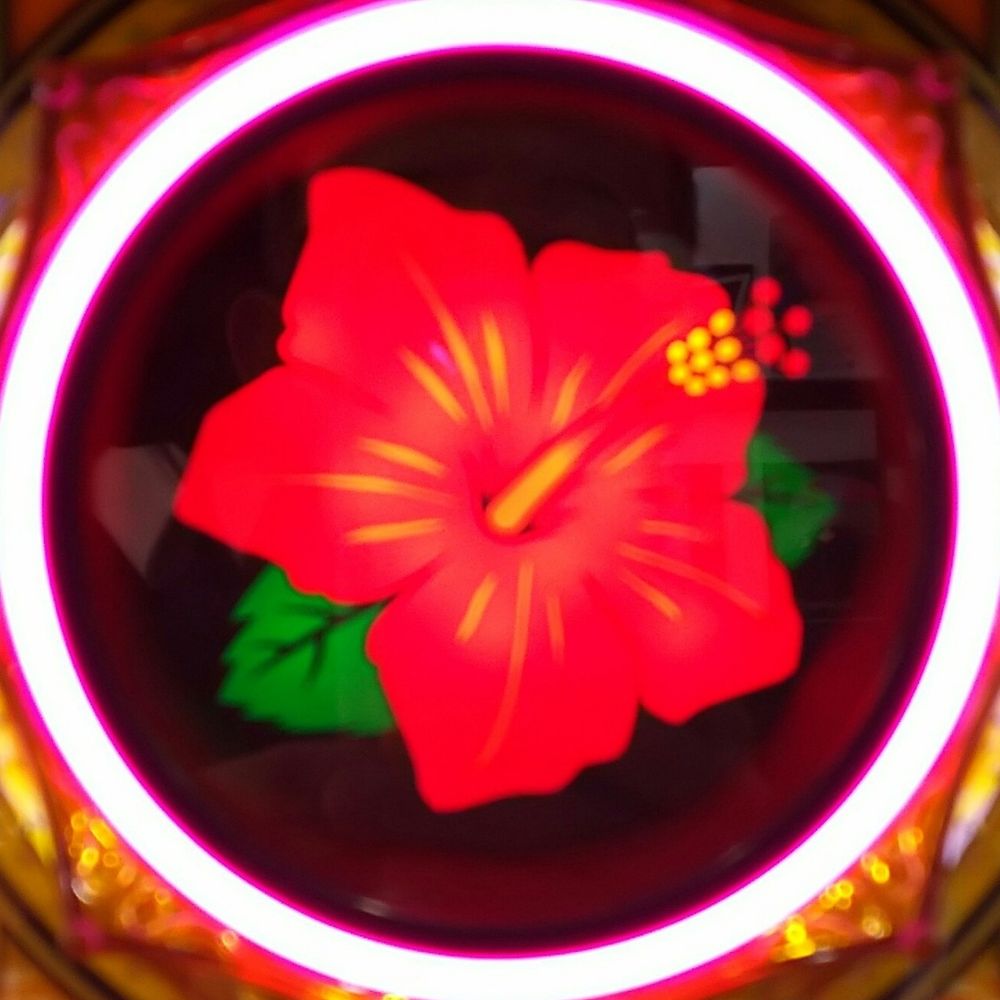 省略イカ