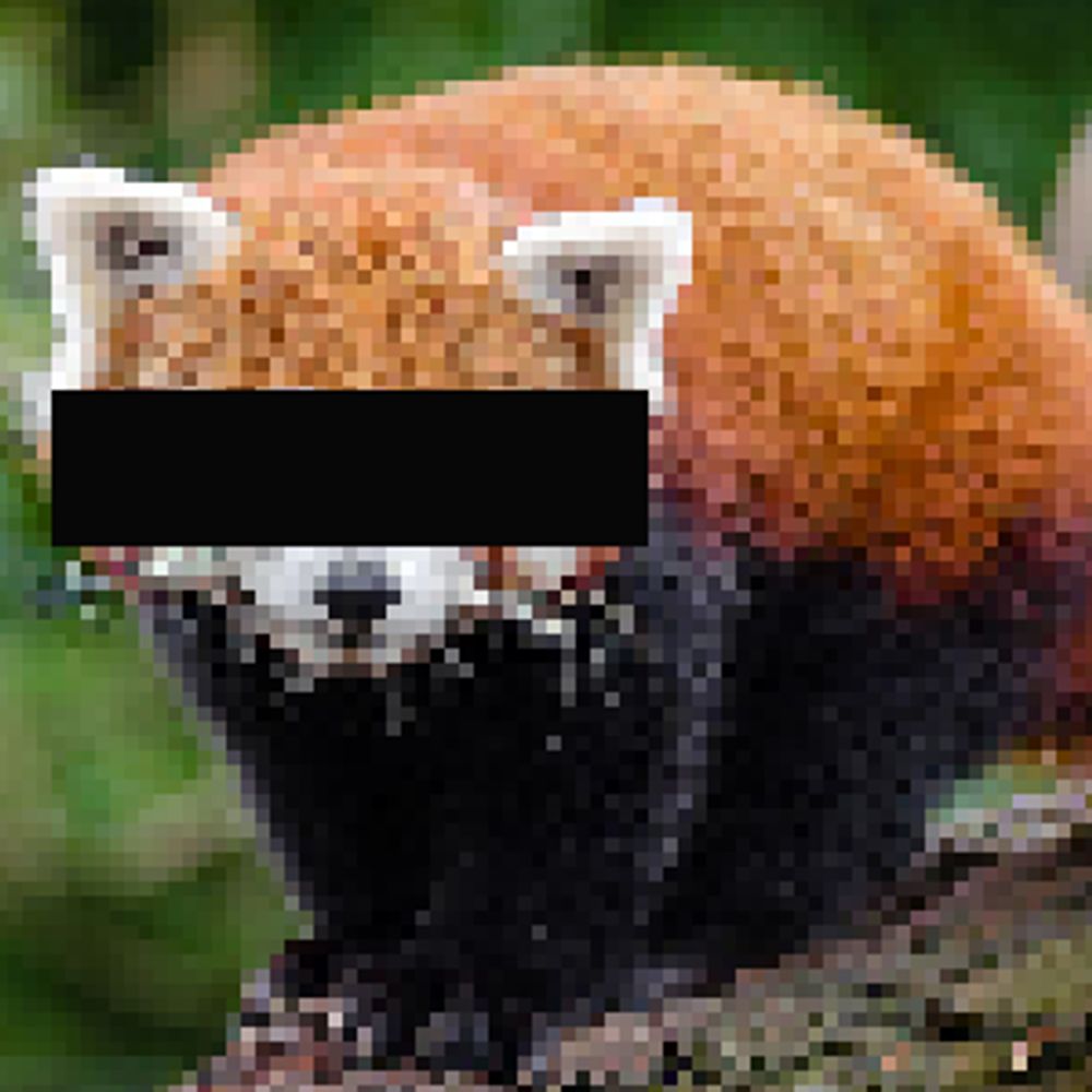 BadPanda🔞