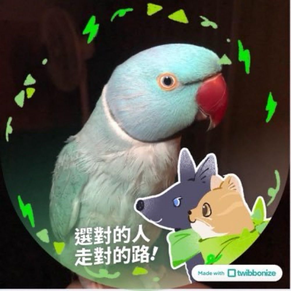 膠桃白✨