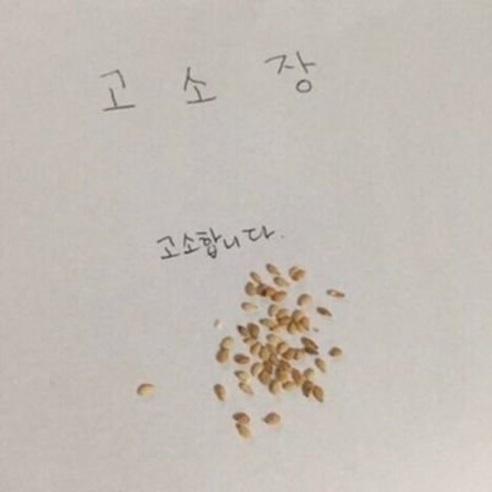깨소금