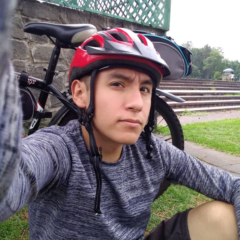M4R10