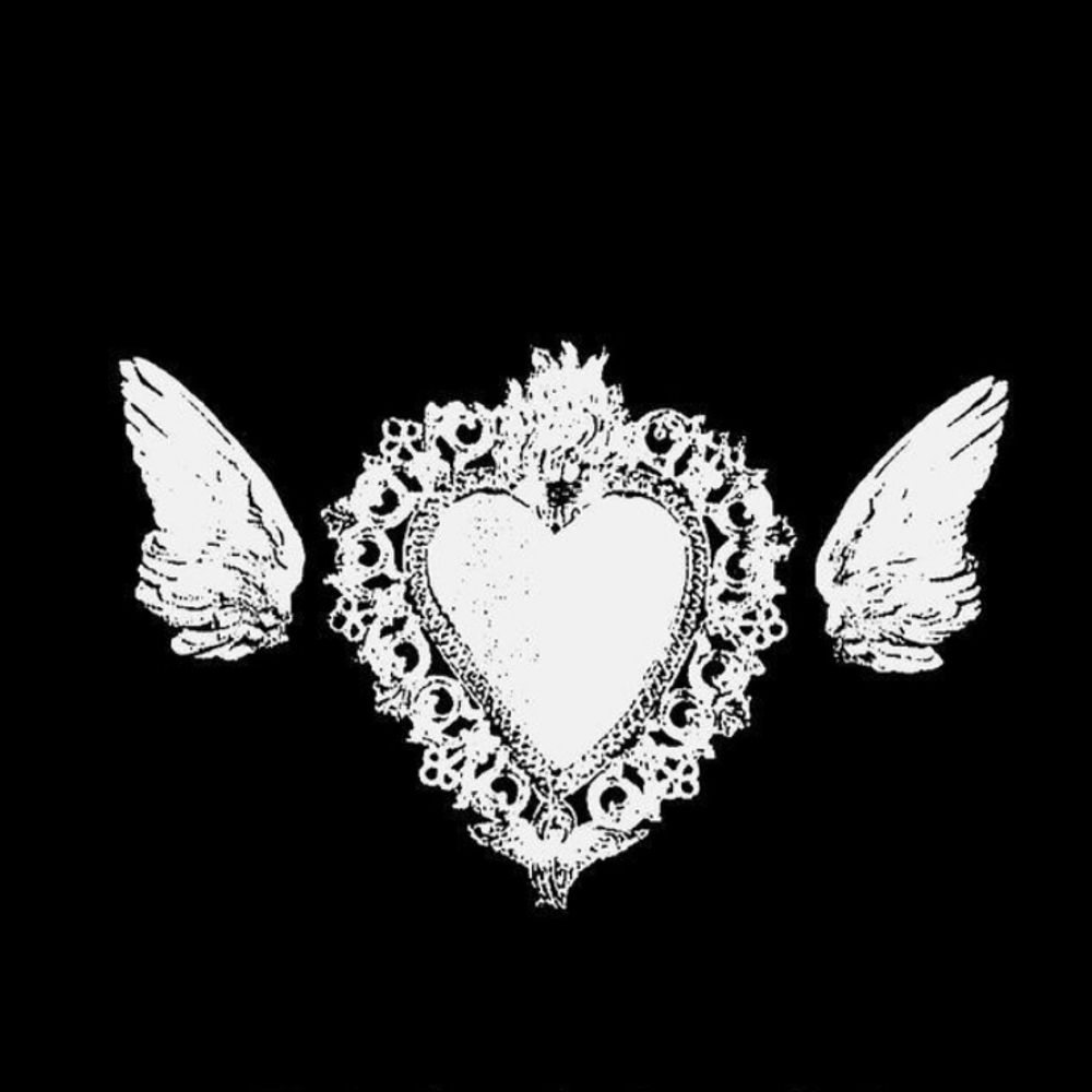 ✧ Lobotobea ✧