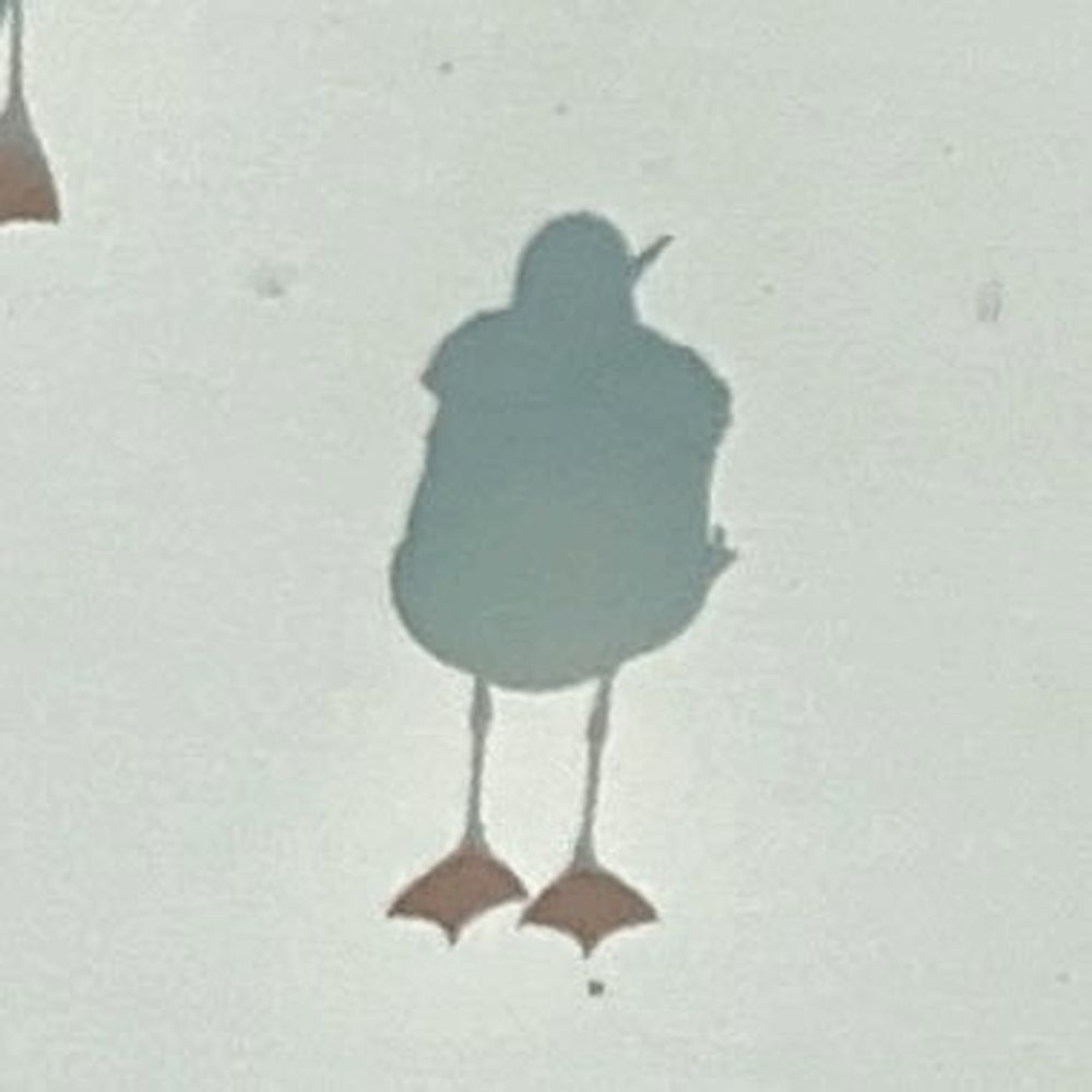 とり