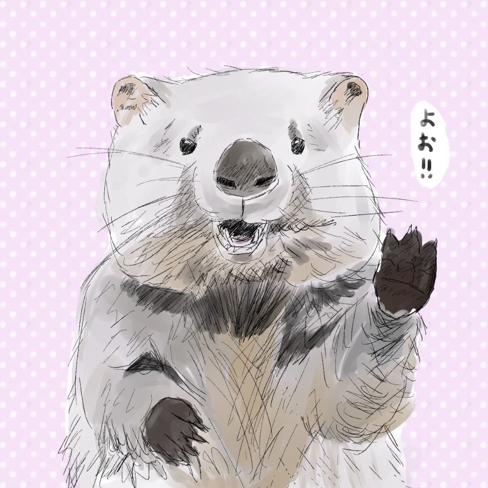 ウォンバット可愛い