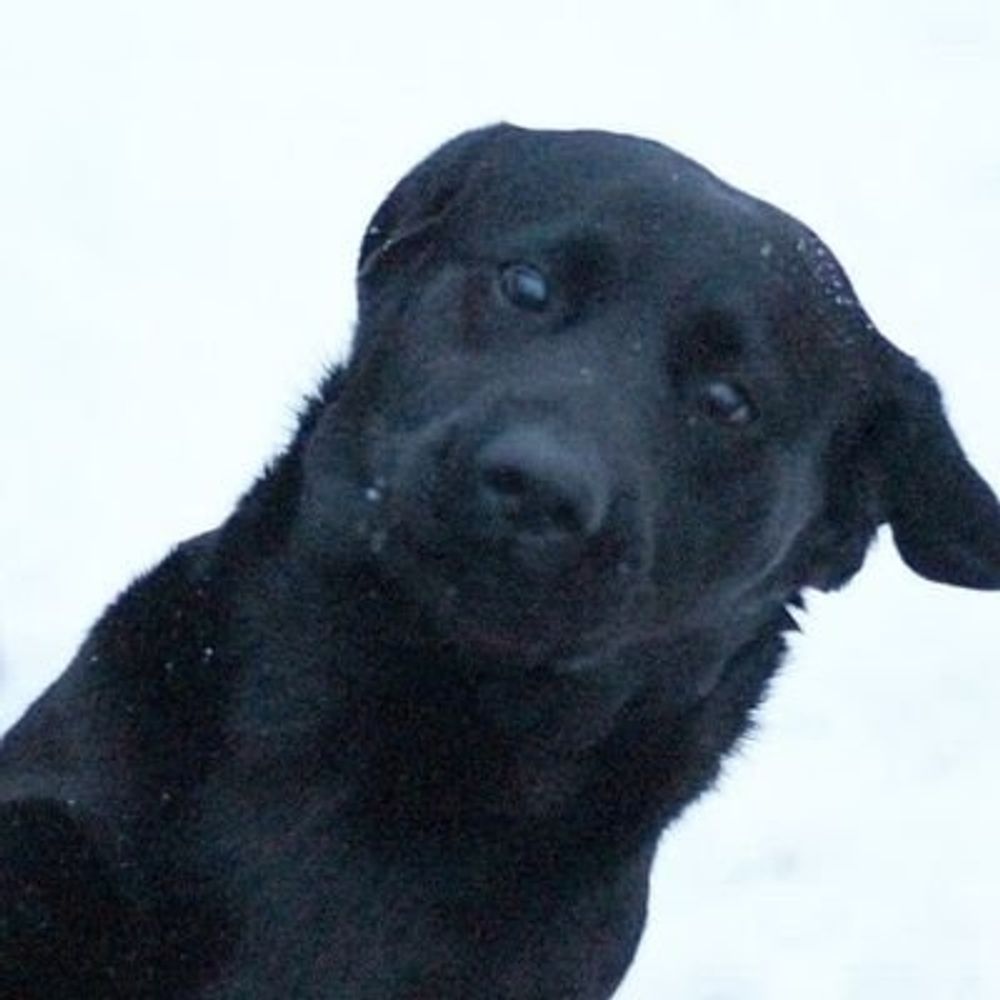Victor