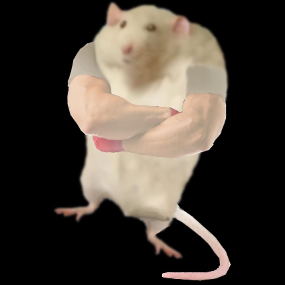 RatthewOfRatopia