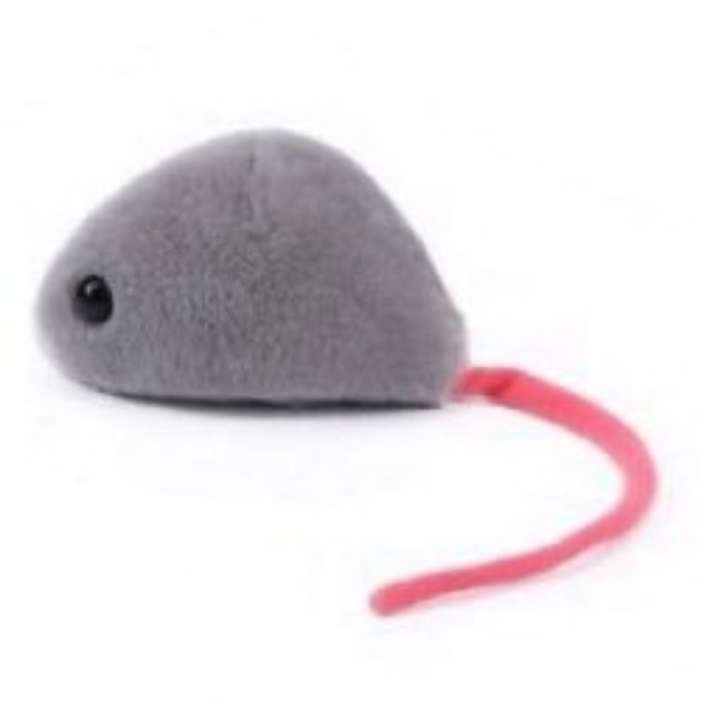 밥풀띠기