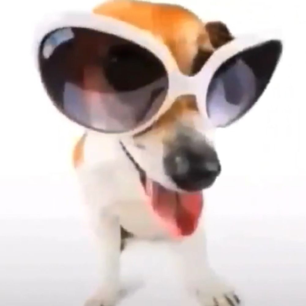 got that dawg in me