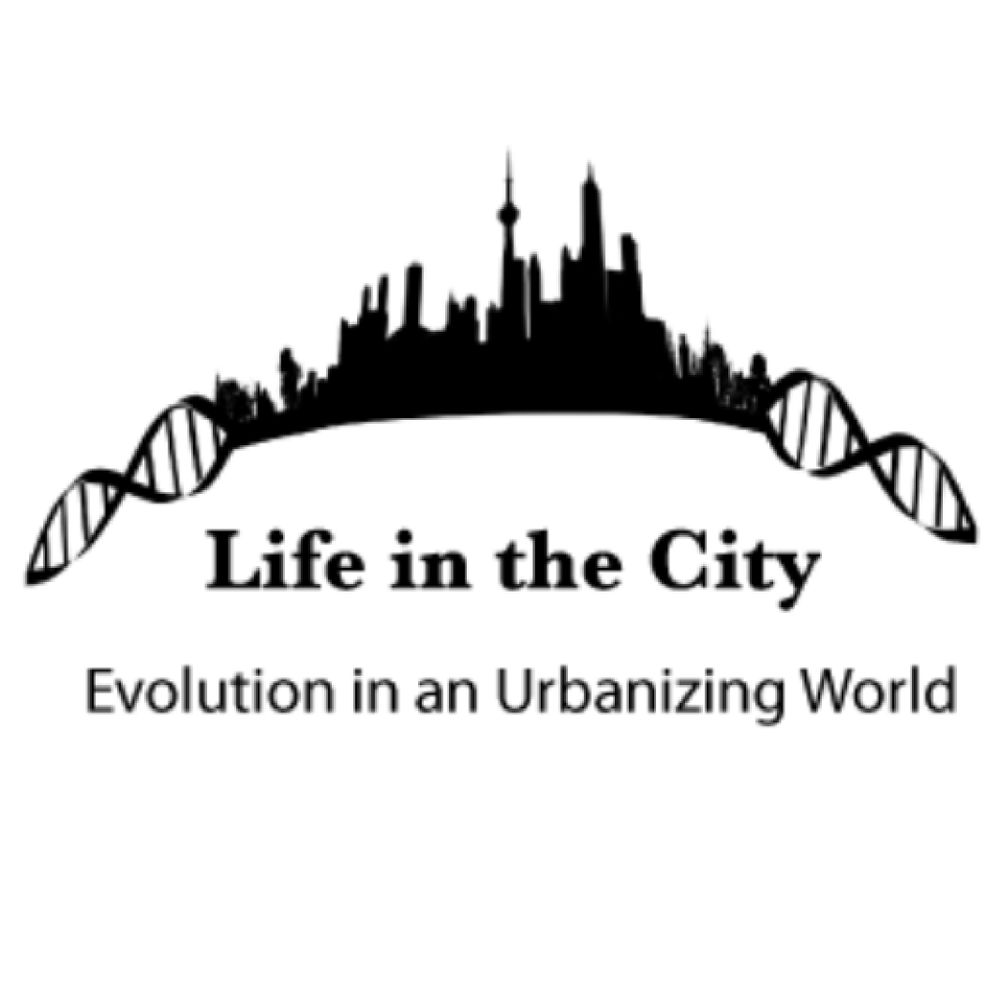 Life in the City - Evolution in an urbanizing world