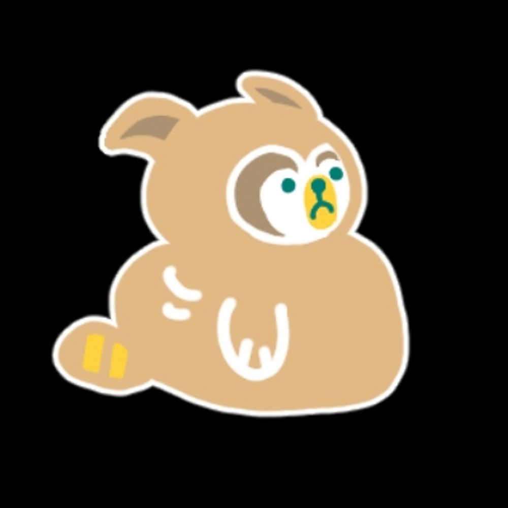 dsあらいぐま