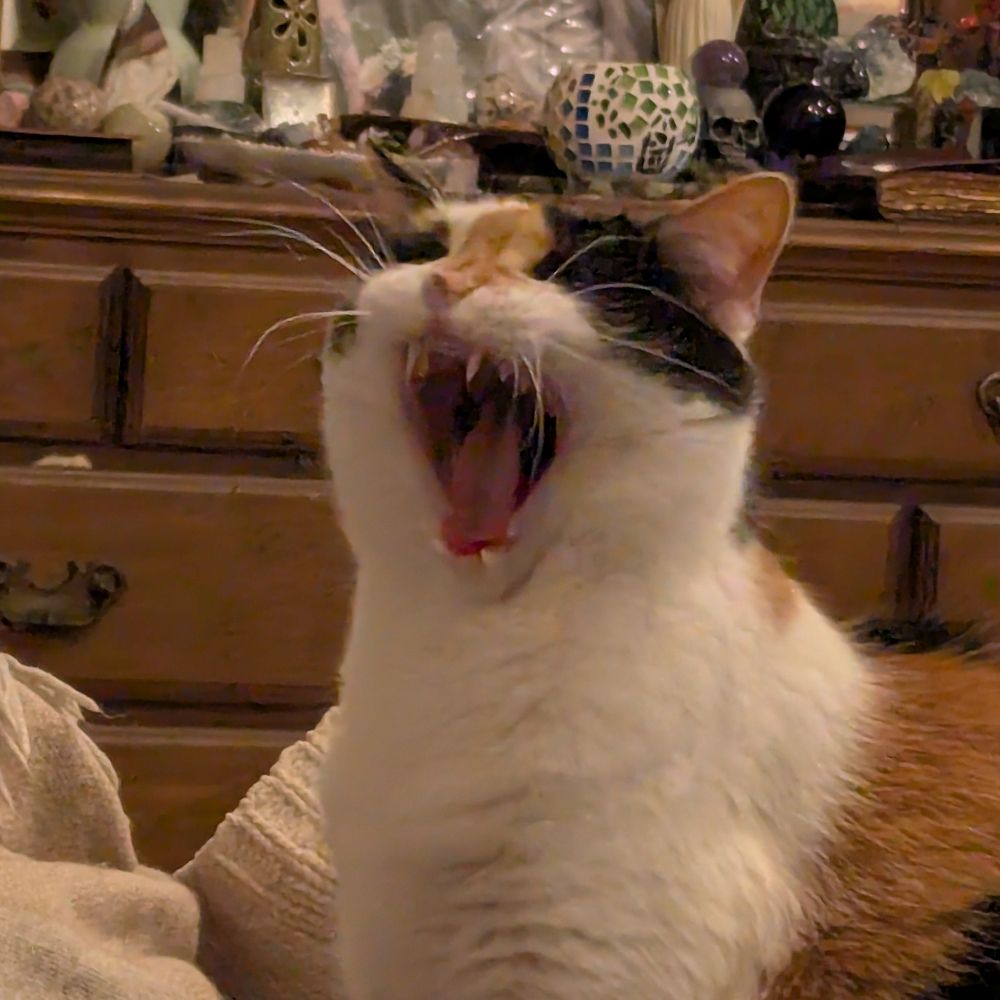 Mel