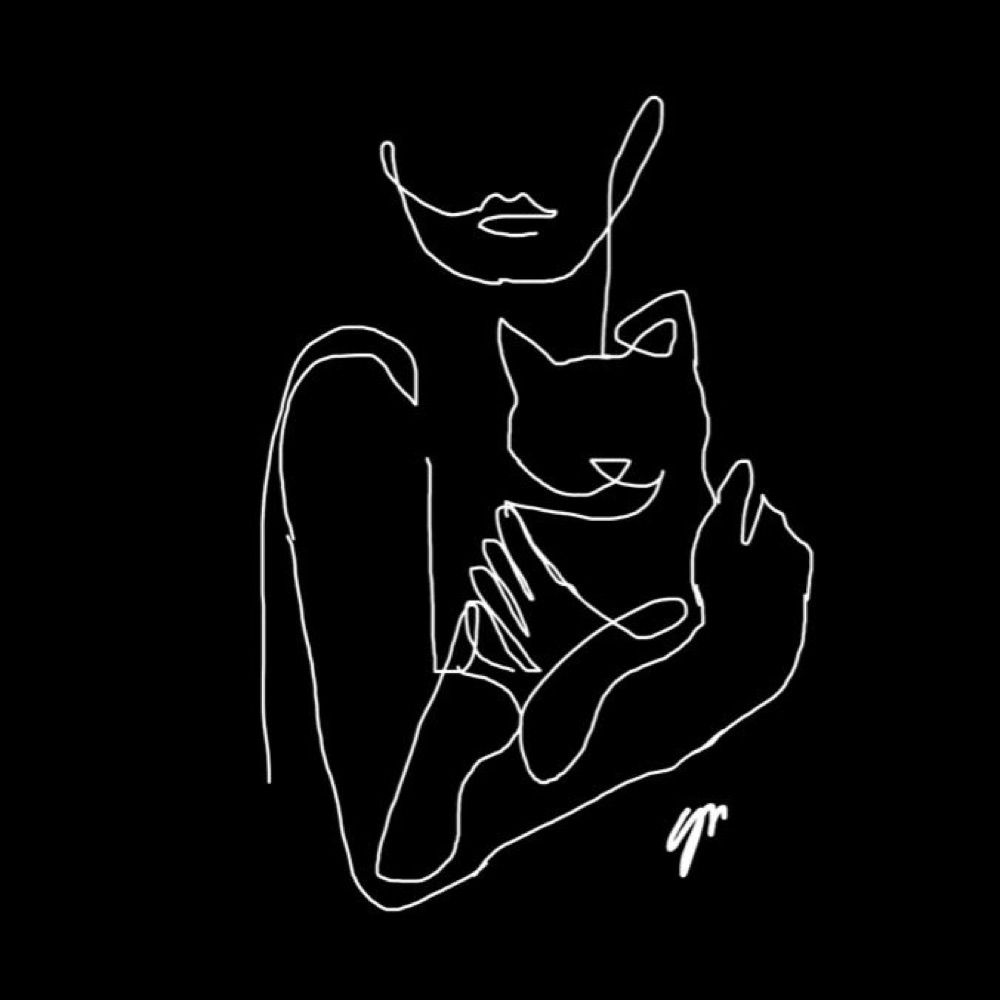 Kucing Hitam